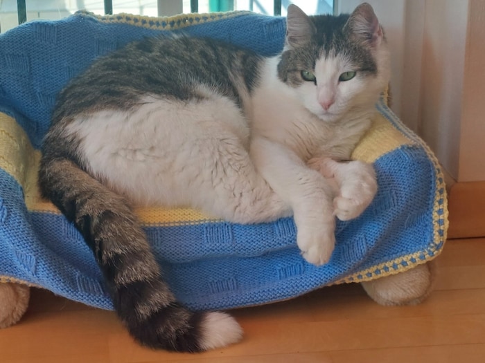 Wer hat Lola gesehen?