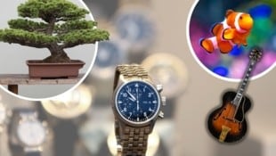 Das Angebot an Wertanlagen ist durch die Globalisierung vielseitiger geworden.
