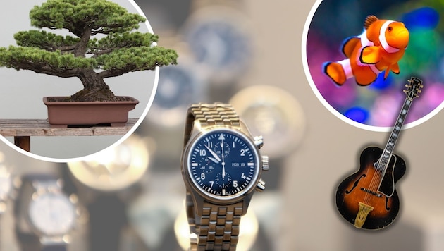 Das Angebot an Wertanlagen ist durch die Globalisierung vielseitiger geworden.