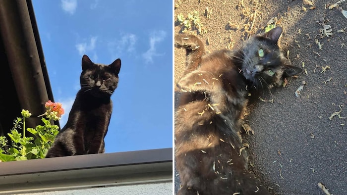 Verschollen seit Ende August.