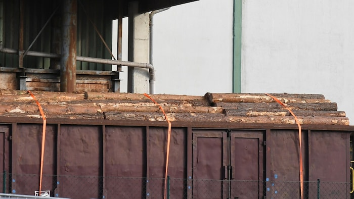 Die Holzverladung soll vom Bahnhof weg verlegt werden.