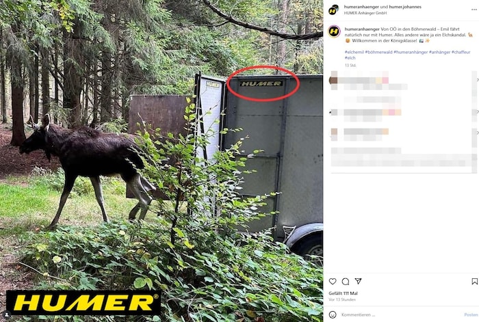 Das spontane Posting der Anhänger-Firma wurde zigfach geteilt.