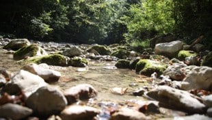 Viele Bürger schätzen die Klamm zur Naherholung. 