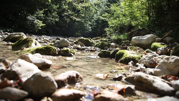 Viele Bürger schätzen die Klamm zur Naherholung.