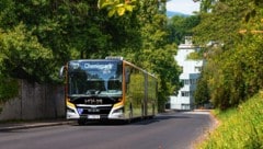 „Wir brauchen endlich die Finanzierung für die Schnellbusse. Erst hat mich Luger hingehalten, ...
