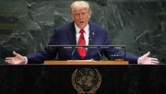 Der Republikaner zeigte sich in New York überzeugt: Europa sei durch illegale Migration zerstört ...