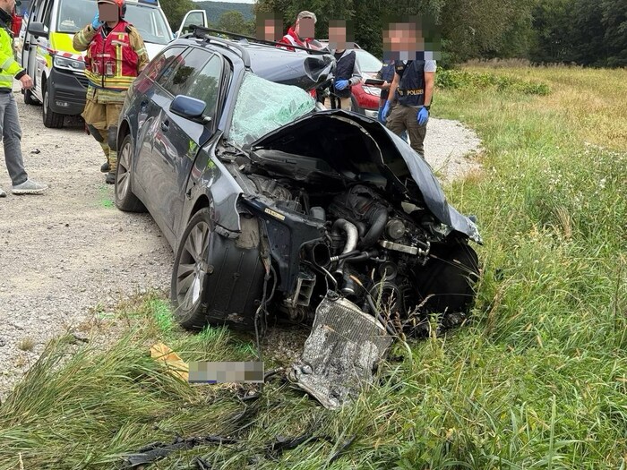 Der Lenker starb bei dem Unfall – er hatte keine Chance.