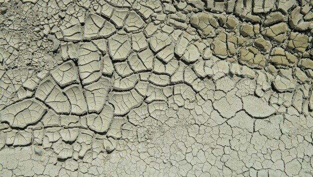 Eine Anfang Juli veröffentlichte Studie einer Nichtregierungsorganisation schätzt, dass 88 ...