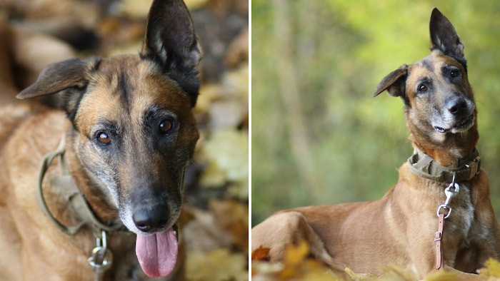 Süßes Mädchen sucht Heim zum Wohlfühlen.