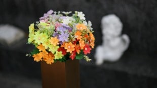 Menschlichkeit mit Geschichte. Die Palliativstationen am Ordensklinikum Linz feiern Jubiläen. 