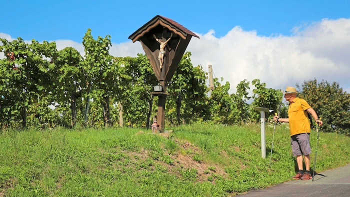 Drei-Weinberge-Rundweg