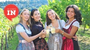 Gemütliche Stunden: Bei den Stürmischen Tagen in Stammersdorf steht wieder der frische Sturm und ...