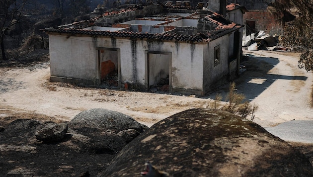 In Portugal werden zwei 81-jährige Frauen verdächtigt, elf Waldbrände gelegt zu haben.