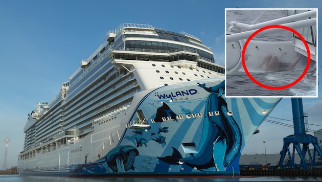 Die Frau lag hilflos am Rücken und versuchte – offenbar erfolglos – sich mit den Armen ...