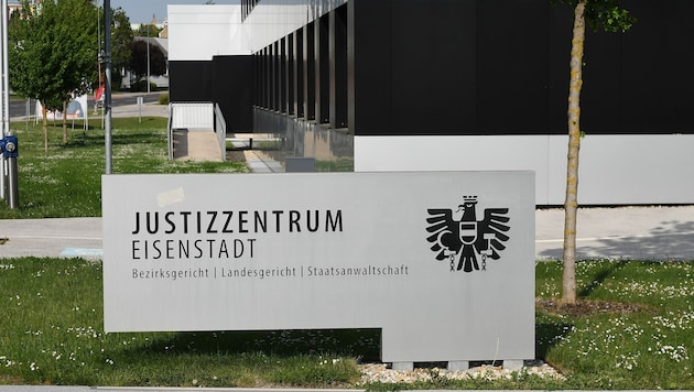 Am Landesgericht Eisenstadt stand der Oberösterreicher vor Gericht.
