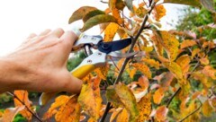 Vorsicht bei Tätigkeiten, wo Holz etc. splittern könnte!