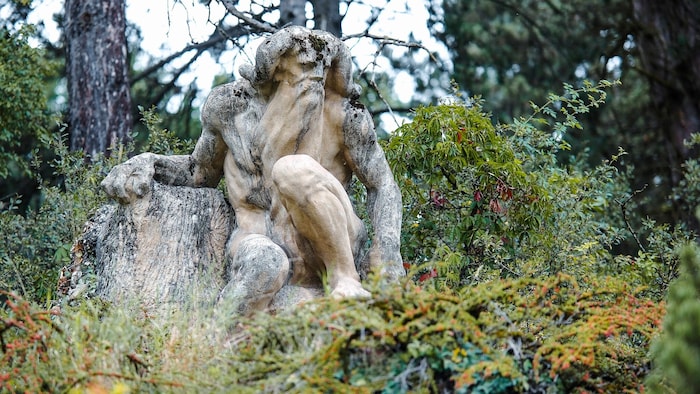 Am Linzer Bauernberg hockt ein Berggeist, er wacht über eine Pflanzenvielfalt im Park, die man ...