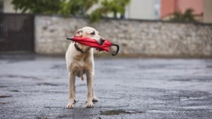Der Regenschirm ist vielerorts am Wochenende ein wichtiges Accessoire.
