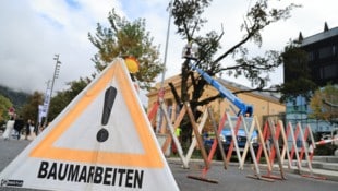 Am Donnerstagvormittag wurde die Blutbuche Ast für Ast abgetragen und gefällt.
