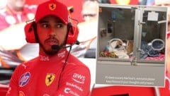 Lewis Hamilton sorgt sich um seinen Hund Roscoe.