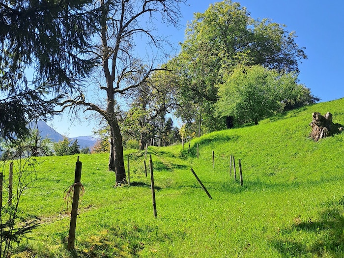 Über die Parzelle Rain steigt man ins Tal der Bregenzerache ab.