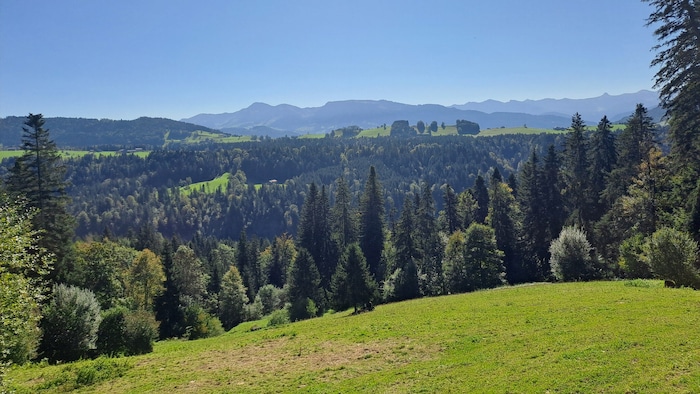 Von Doren aus bieten sich abwechslungsreiche Ausblicke .