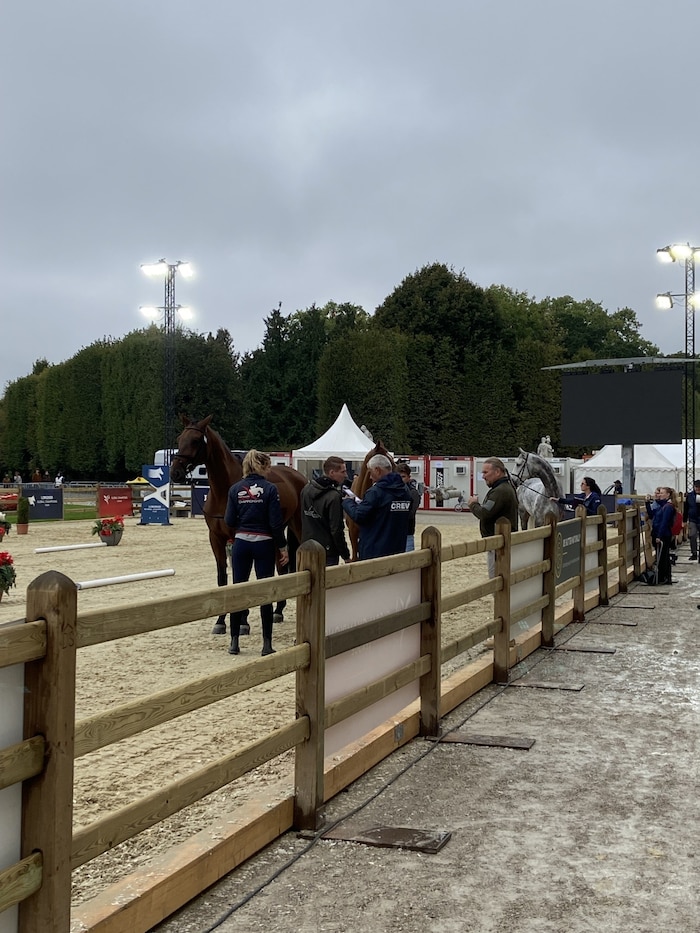 Bei der „Horse Inspection“ müssen alle teilnehmenden Pferde eine Überprüfung durch ein ...