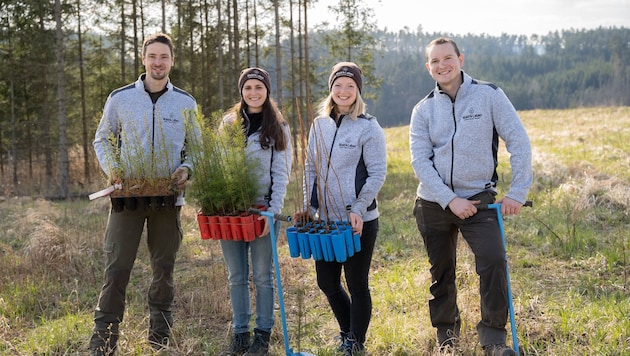 Lukas Schmalzbauer und sein Team sorgen dafür, dass Kahlstellen in den Wäldern zu einem ...