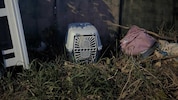 Kein gestelltes Bild: So fanden – und retteten – Mitarbeiter des Tierquartiers am Abend des 18. ...