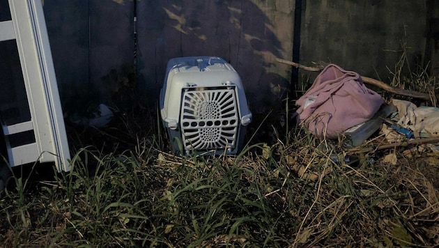 Kein gestelltes Bild: So fanden – und retteten – Mitarbeiter des Tierquartiers am Abend des 18. ...