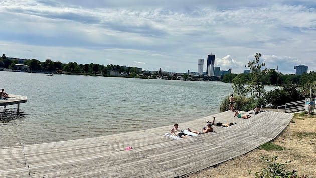 Wie sich die heimischen Flüsse, insbesondere die Donau, wandeln, ist Thema der neuen ...