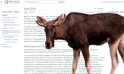 Wer mehr über „Emil“ erfahren will, kann jetzt seinen Wikipedia-Eintrag lesen.