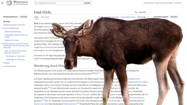 Wer mehr über „Emil“ erfahren will, kann jetzt seinen Wikipedia-Eintrag lesen.