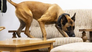 Die Datenspürhunde sollen digitale Beweismittel wie Laptops, Handys, Tablets oder Speichersticks ...