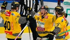 Patrick Antal (M.) war jahrelang eine Fixgröße bei den Capitals.