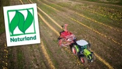 Aktuell läuft auch die Kürbisernte im Land auf Hochtouren. Die Umtriebe bei Naturland sorgen ...