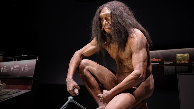 So soll der Homo erectus ausgesehen haben.