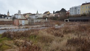 Einst blühendes Gärtnerareal, jetzt jahrelang eine Steppe in der Innenstadt von Zwettl. Auf dem ...
