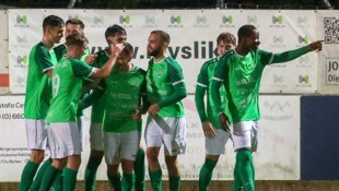 Viermal drehte Hallein zum Torjubel ab.