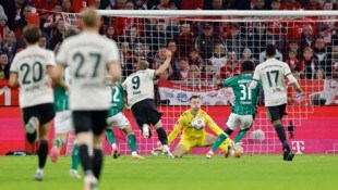 Harry Kane (Mitte) war einmal mehr nicht zu stoppen.