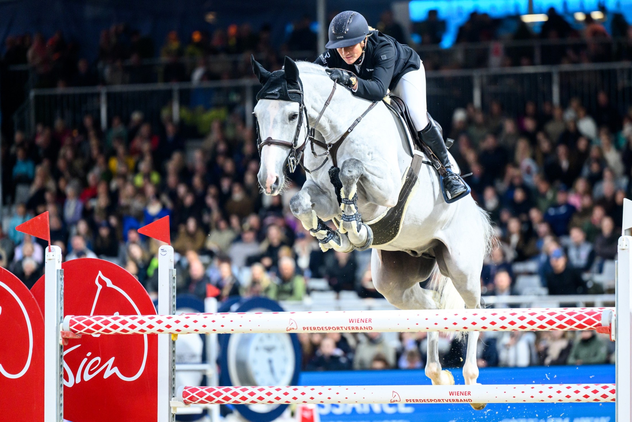 Katharina Rhomberg und „Colestus Cambridge“