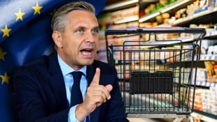 Wirtschaftsminister Wolfgang Hattmannsdorfer geht mit Bündnispartnern gegen die ...