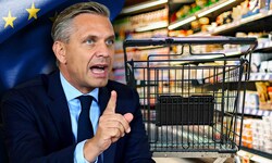 Wirtschaftsminister Wolfgang Hattmannsdorfer geht mit Bündnispartnern gegen die ...