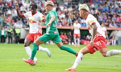 Ein Bulle versucht sein Glück künftig in Frankreich.