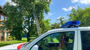 Bei den Unfällen auf Obstbäumen wurden zwei Männer schwer verletzt