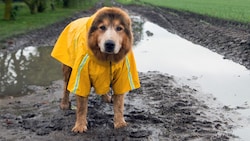 Knirps und Regenjacke sollten kommende Woche vorsichtshalber immer mit von der Partie sein.