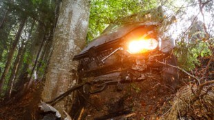 Von einem Baum gestoppt. 