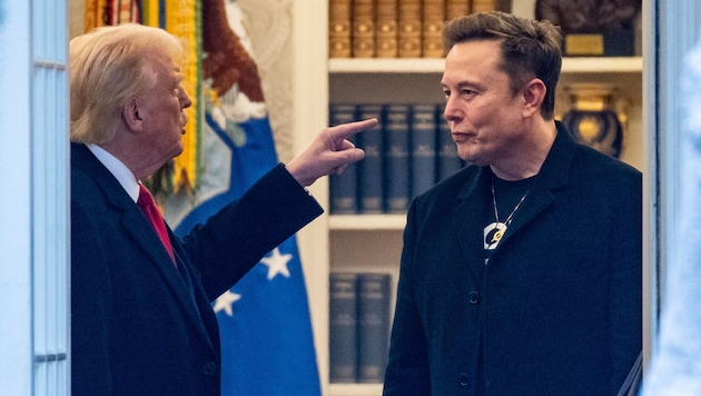 US-Präsident Trump und Elon Musk: viel Macht in wenigen Händen.