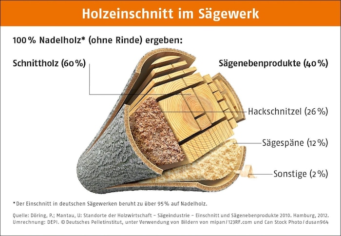 Dicke Holzstämme kommen zu 60 % in die Wirtschaft, etwa für die Produktion von Möbeln & Co. – ...