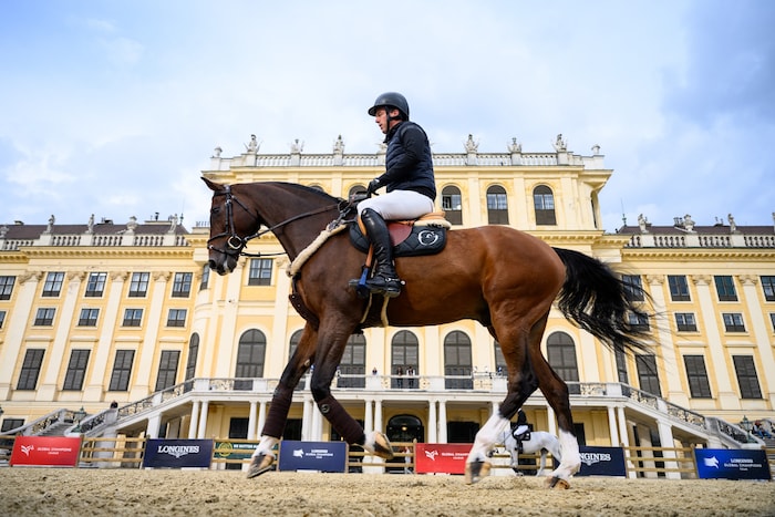 Der Abreiteplatz, wo sich Pferd und Reiter auf ihre Starts vorbereiten, kann eingesehen werden. ...